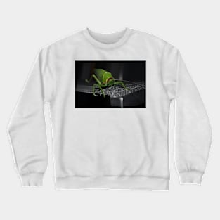 Big and Green Crewneck Sweatshirt